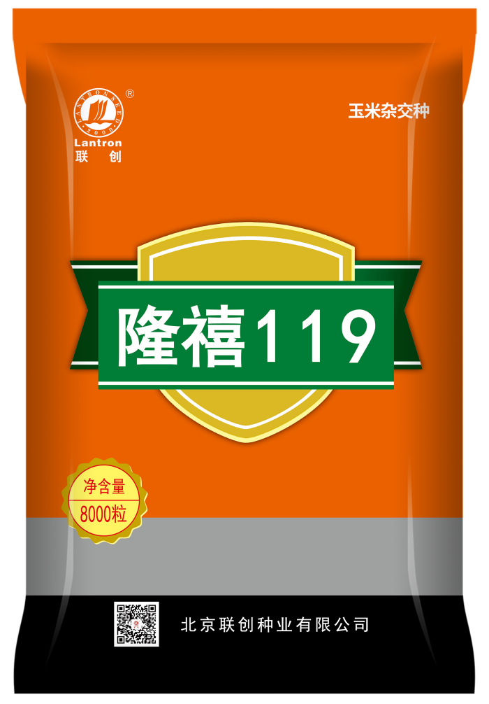 隆禧119